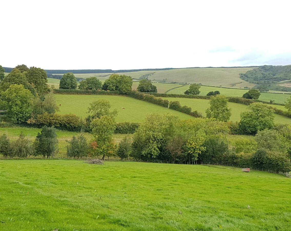 Eco Cottage Joe The Buck Craven Arms Exterior foto